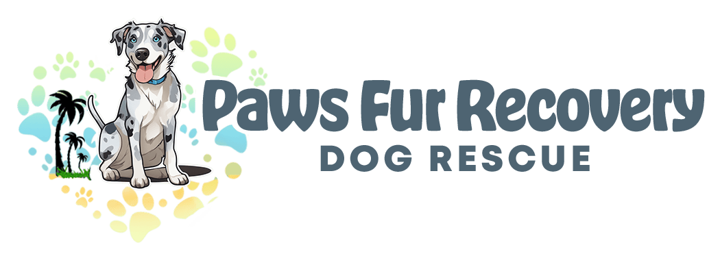 Paws Fur Recovery Dog Rescue