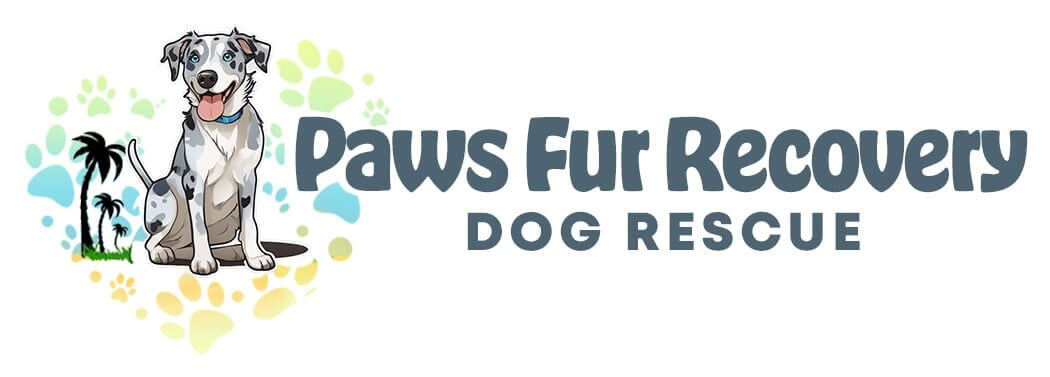 Paws Fur Recovery Dog Rescue